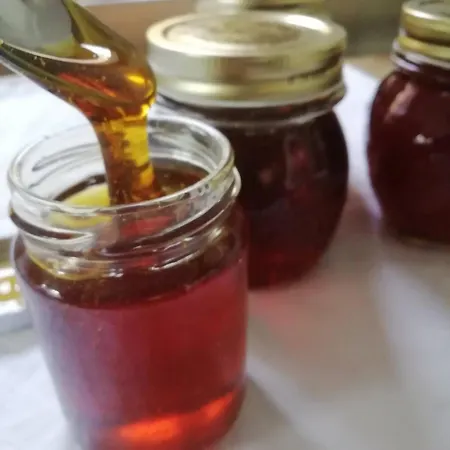 Farm Agriturismo La Borgaccia