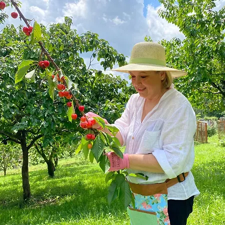 Farm Agriturismo La Borgaccia Baiso
