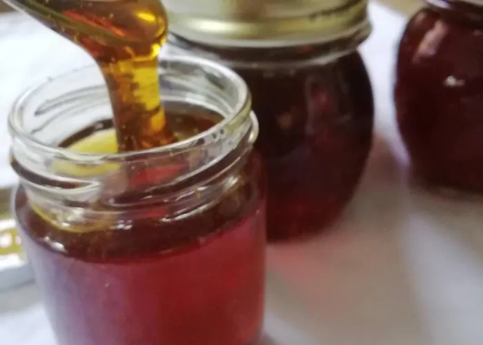 Farm Agriturismo La Borgaccia