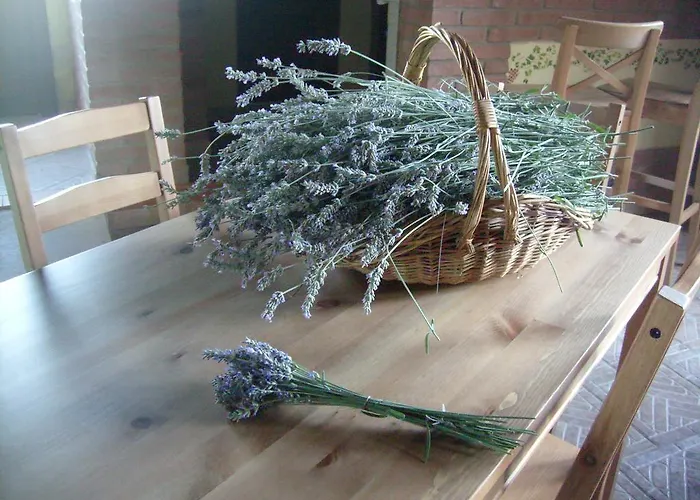 Farm Agriturismo La Borgaccia