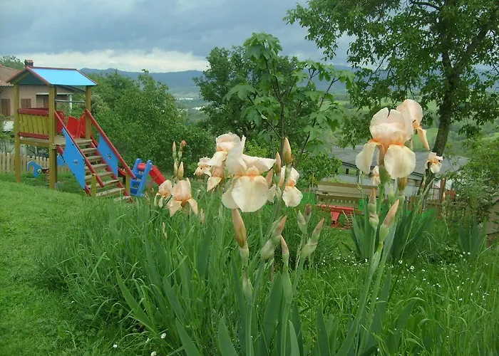 Farm Agriturismo La Borgaccia مزرعة للإقامة