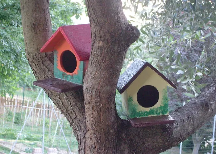 Farm Agriturismo La Borgaccia Baiso