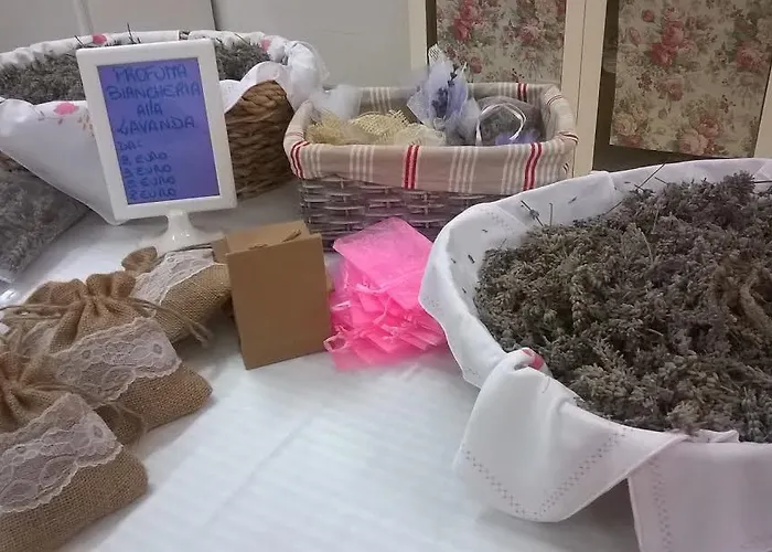 مزرعة للإقامة Farm Agriturismo La Borgaccia