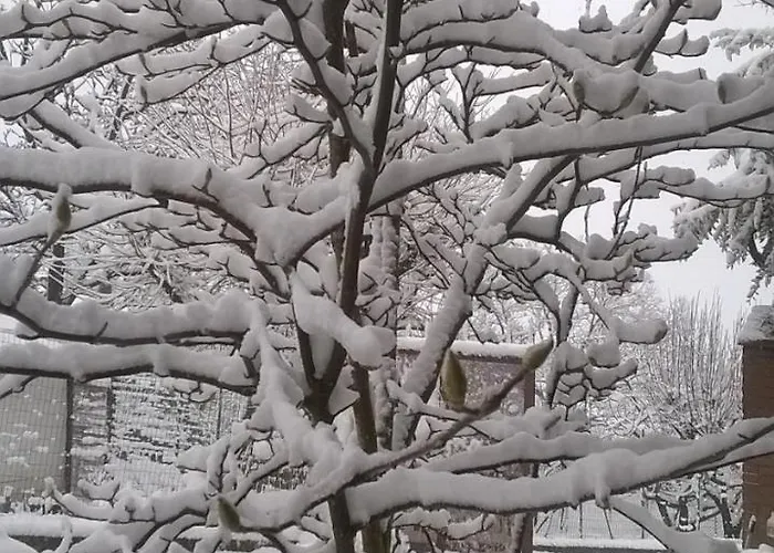 Farm Agriturismo La Borgaccia مزرعة للإقامة Baiso