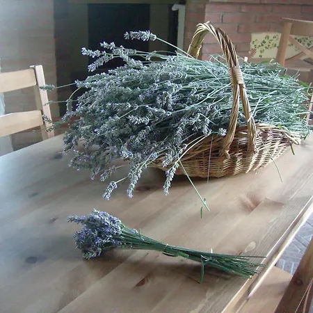 Farm Agriturismo La Borgaccia