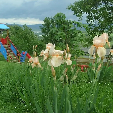 Farm Agriturismo La Borgaccia Κατάλυμα σε φάρμα