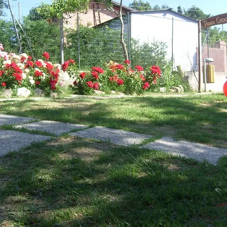 Farm Agriturismo La Borgaccia Baiso