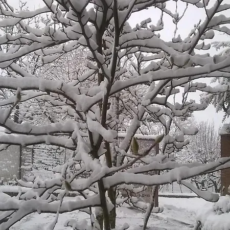 Farm Agriturismo La Borgaccia Farm stay Baiso