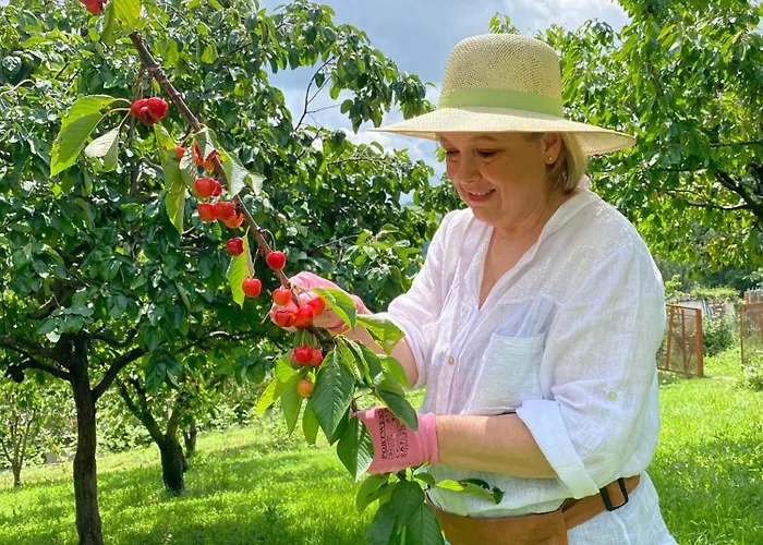 Farm Agriturismo La Borgaccia Baiso